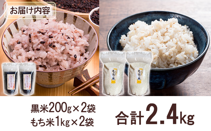 玄米約29.2kg 16,000円 （米 令和6年産 安芸高田市産コシヒカリ
