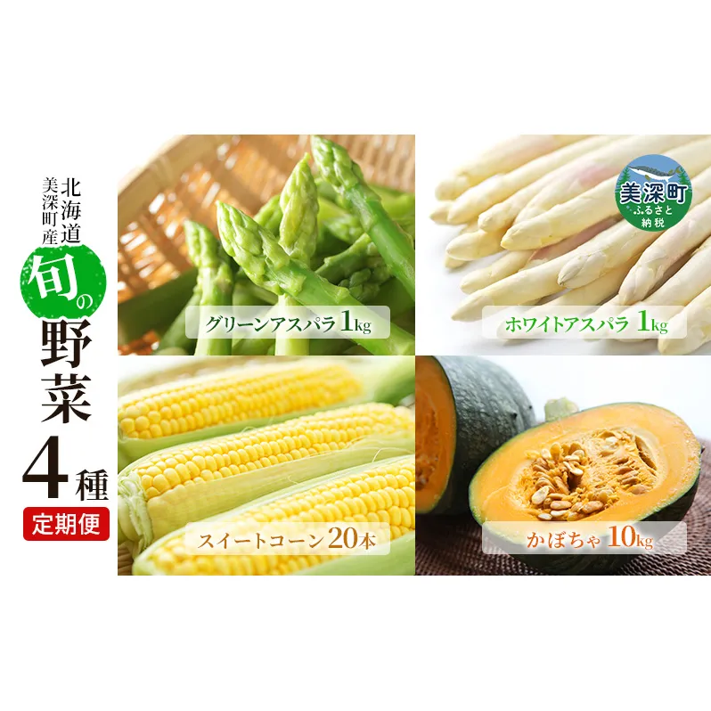 美深の旬の野菜 4種定期便（ホワイトアスパラ・グリーンアスパラ・とうもろこし・かぼちゃ）【北海道美深町産】 甘み みずみずしい 良質 直送 栄養 お得 セット 