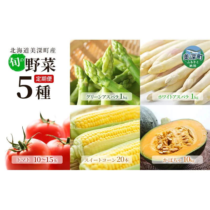 美深の旬の野菜 年5回定期便（ホワイトアスパラ・グリーンアスパラ・とうもろこし・トマト・かぼちゃ）【北海道美深町産】 甘み 水分 みずみずしい 良質 直送 朝採り 栄養 