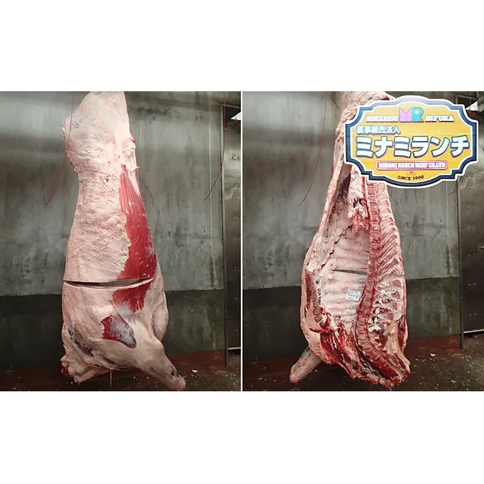 北海道美深産 エアリアルビーフ 1頭分フルセット 約300kg 牛肉 サーロイン お肉 ヒレ 