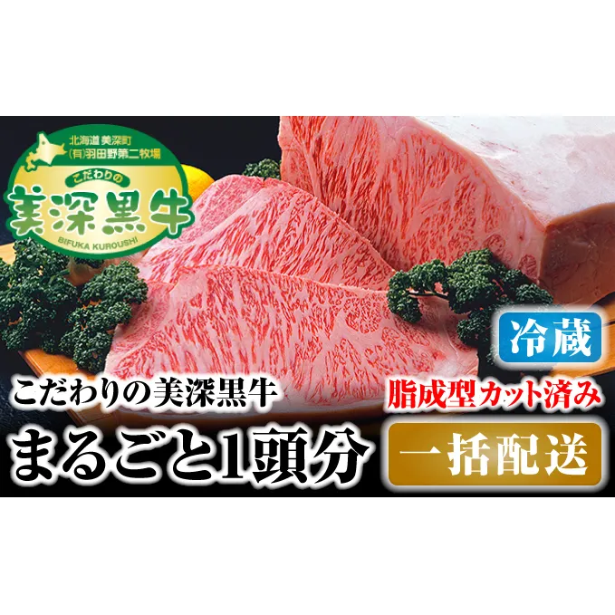 北海道 こだわりの美深黒牛1頭分 成型脂カットあり（冷蔵） お肉 牛肉 サーロイン 焼肉 バーベキュー 