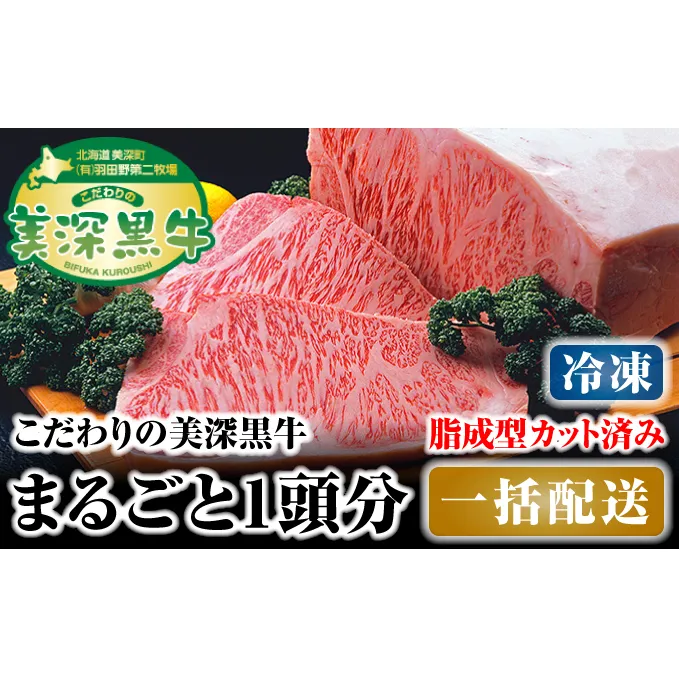 北海道 こだわりの美深黒牛1頭分 成型脂カットあり（冷凍） お肉 牛肉 サーロイン 焼肉 バーベキュー 