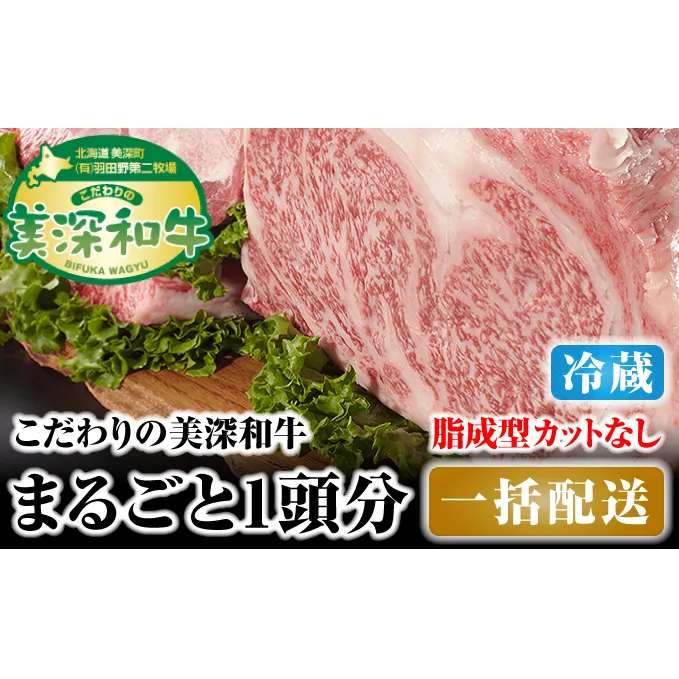 北海道 こだわりの美深和牛1頭分 成型脂カットなし（冷蔵） お肉 牛肉 サーロイン 焼肉 バーベキュー 
