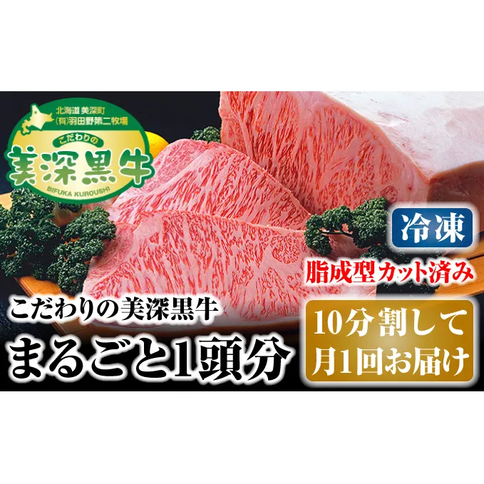 北海道 こだわりの美深黒牛1頭分（冷凍）10分割して月1回お届け お肉 サーロイン 牛肉 焼肉 バーベキュー 