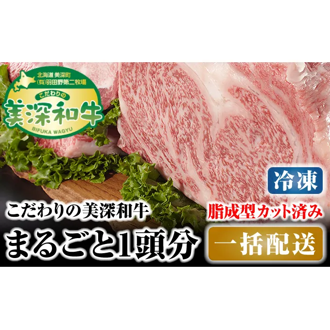 北海道 こだわりの美深和牛1頭分 成型脂カットあり（冷凍） お肉 牛肉 サーロイン 焼肉 バーベキュー 