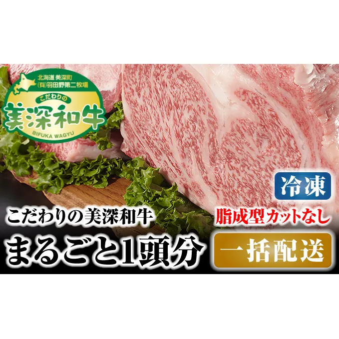 北海道 こだわりの美深和牛1頭分 成型脂カットなし（冷凍） お肉 牛肉 サーロイン 焼肉 バーベキュー 