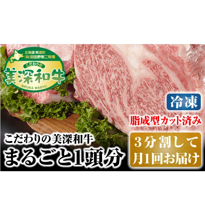 北海道 こだわりの美深和牛1頭分（冷凍）3分割して月1回お届け お肉 サーロイン 牛肉 焼肉 バーベキュー 
