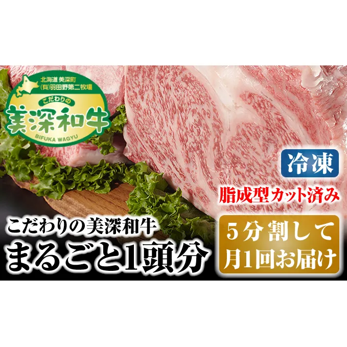 北海道 こだわりの美深和牛1頭分（冷凍）5分割して月1回お届け お肉 牛肉 サーロイン 焼肉 バーベキュー 