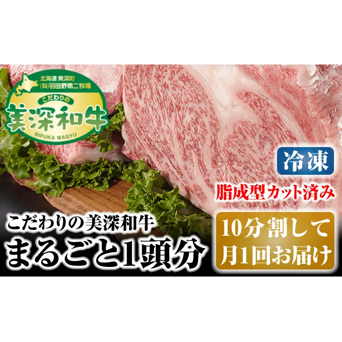 北海道 こだわりの美深和牛1頭分（冷凍）10分割して月1回お届け お肉 牛肉 サーロイン 焼肉 バーベキュー 