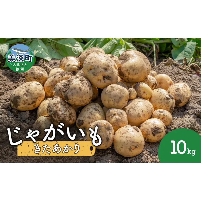 じゃがいも 10kg（きたあかり）北海道 美深町産 いも ジャガイモ 秋