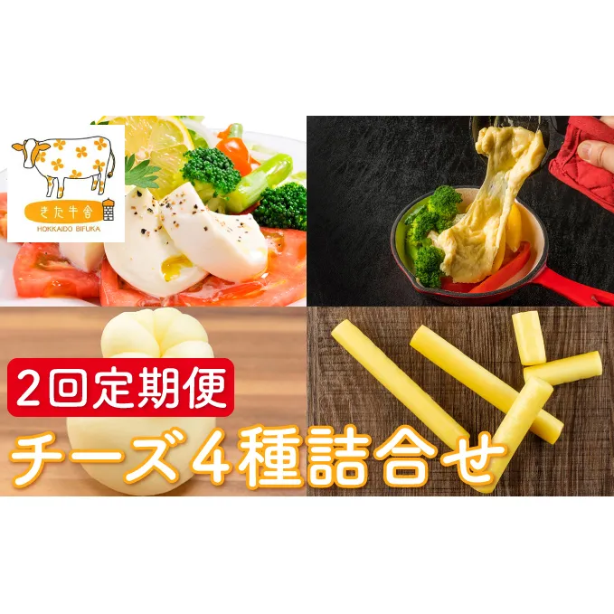 北海道美深町 チーズ4種詰め合わせ 2回定期便 【北ぎゅう舎】 加工食品 乳製品 詰合せ 