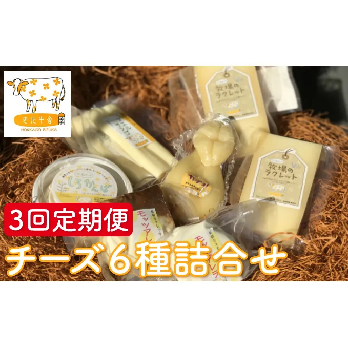 北海道美深町 チーズ6種詰め合わせ 3回定期便 【北ぎゅう舎】 加工食品 乳製品 詰合せ 