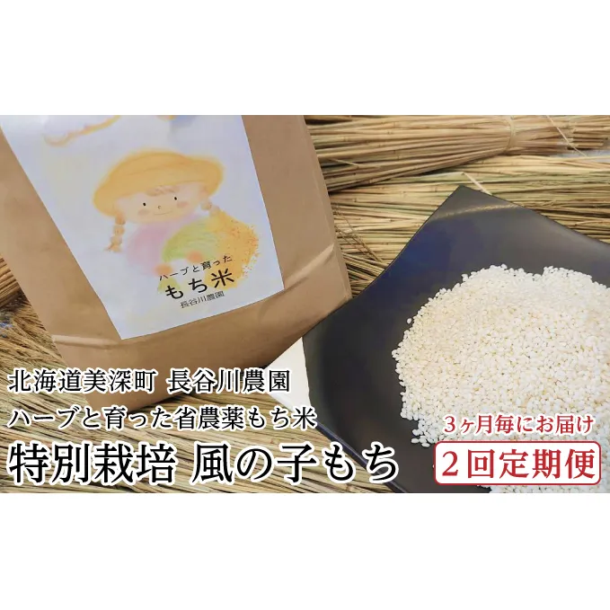 ［先行予約/11月発送開始］3ヶ月毎にお届け［2回定期便］ハーブと育った省農薬の特別栽培もち米「風の子もち」5kg×1【北海道美深町】長谷川農園【 もち もち米 餅 餅米 】 