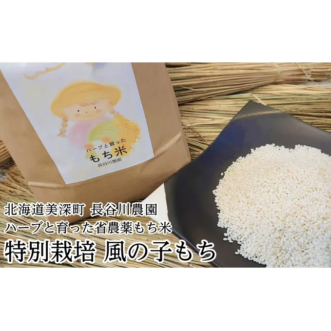 ［先行予約/11月発送開始］ハーブと育った省農薬の特別栽培もち米「風の子もち」5kg×2【北海道美深町】長谷川農園【 もち もち米 餅 餅米 】 