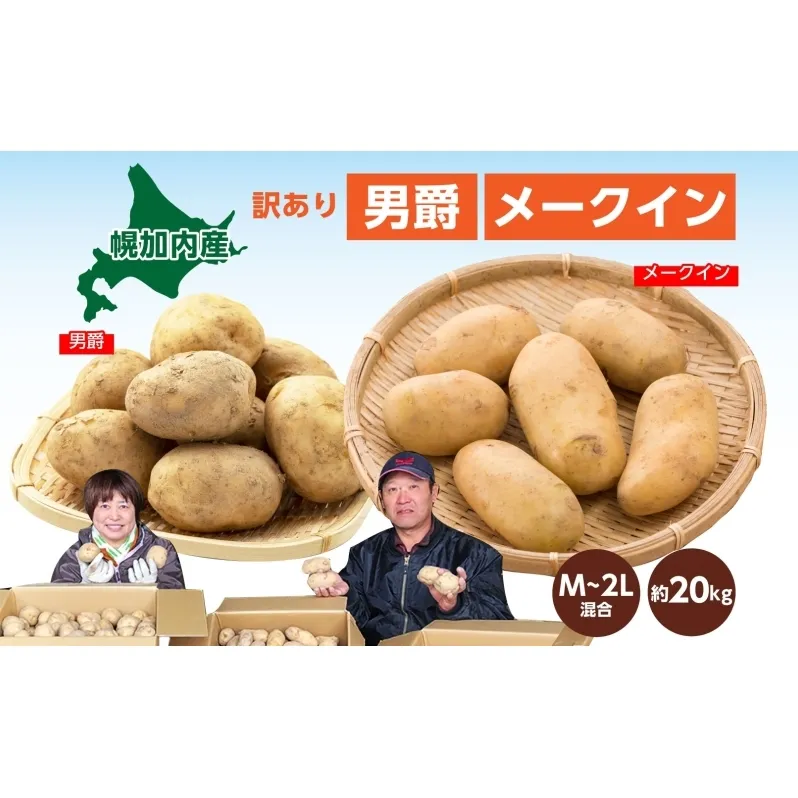 北海道産 訳あり じゃがいも 男爵 メークイン M～2L 各約10kg 計約20kg ジャガイモ 馬鈴薯 ポテト 芋 いも イモ 旬 冬 農作物 規格外 北海道 お取り寄せ 産地直送 笠井ファーム 送料無料 幌加内