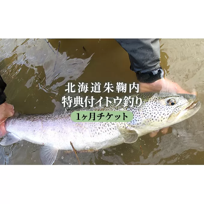 北海道朱鞠内 特典付イトウ釣り1ヶ月チケット 