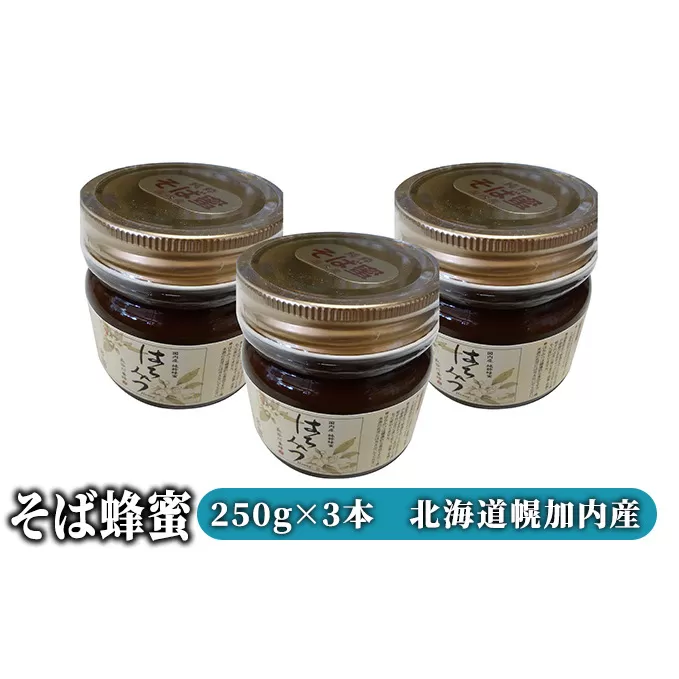 はちみつ そば蜂蜜 250g×3本 北海道 幌加内産 蜂蜜 国産 加工食品 