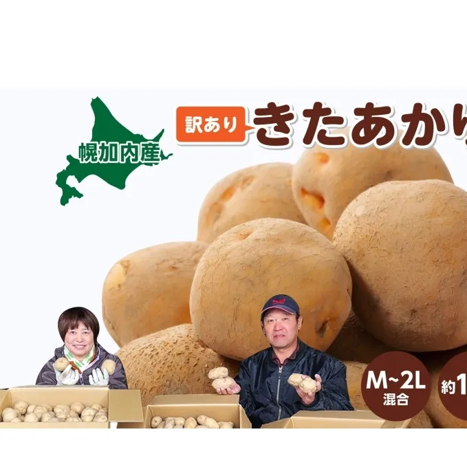 北海道産 訳あり じゃがいも きたあかり M～2L 約10kg ジャガイモ 馬鈴薯 ポテト キタアカリ 芋 いも イモ 旬 冬 農作物 訳アリ 規格外 家庭用 北海道 お取り寄せ 産地直送 笠井ファーム 送料無料 幌加内