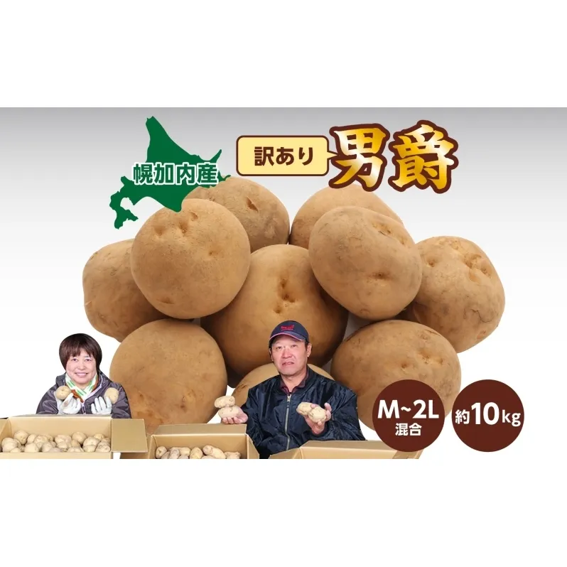 北海道産 訳あり じゃがいも 男爵 M～2L 約10kg ジャガイモ 馬鈴薯 ポテト キタアカリ 芋 いも イモ 旬 冬 農作物 訳アリ 規格外 家庭用 北海道 お取り寄せ 産地直送 笠井ファーム 送料無料 幌加内