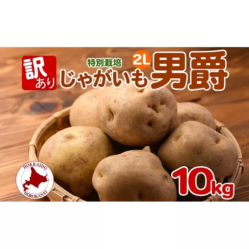 ＜2025年秋以降出荷＞北海道 訳あり 特別栽培 じゃがいも 男爵 2L 約10kg ジャガイモ 馬鈴薯 芋 野菜 根菜 旬 冬野菜 北海道産 国産 生 ポテト 甘い ホクホク 農作物 訳アリ 規格外 20キロ お取り寄せ 産地直送 食材 