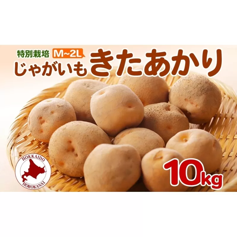 ＜2025年秋以降出荷＞北海道 特別栽培 じゃがいも きたあかり M～2L 約 10kg ジャガイモ 馬鈴薯 芋 いも イモ ポテト 野菜 根菜 旬 北海道産 国産 生 冬野菜 農作物 10キロ お取り寄せ 産地直送 畑農場