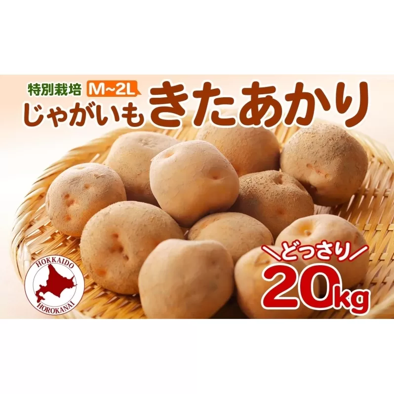 ＜2025年秋以降出荷＞北海道 特別栽培 じゃがいも きたあかり M～2L 約 20kg ジャガイモ 馬鈴薯 芋 いも イモ ポテト 野菜 根菜 旬 北海道産 国産 生 冬野菜 農作物 20キロ お取り寄せ 産地直送 畑農場