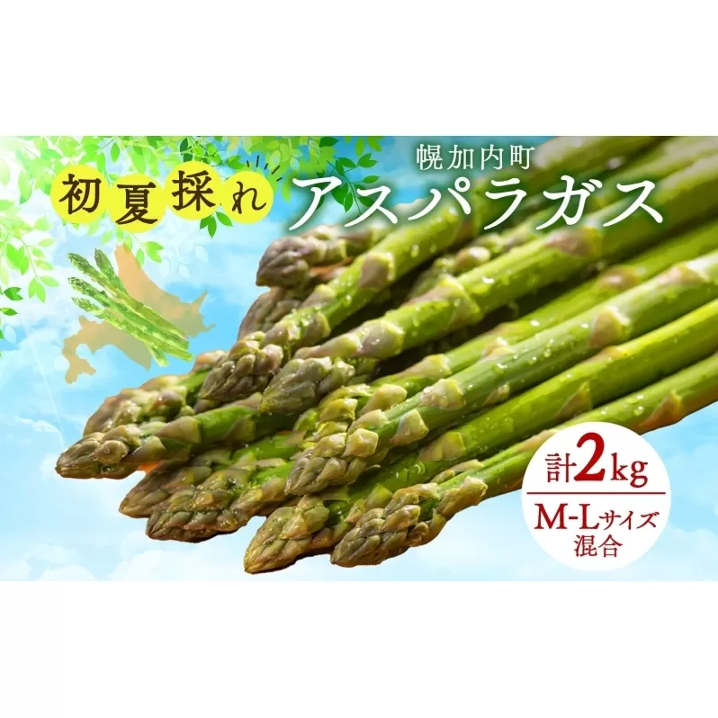 北海道 アスパラガス 約150g×14束 計2kg 以上 M-L混合 初夏採れ グリーン アスパラガス 野菜 緑 アスパラ 新鮮 旬 初夏 国産 甘い 小分け お取り寄せ 産地直送 蔵前農園 送料無料 