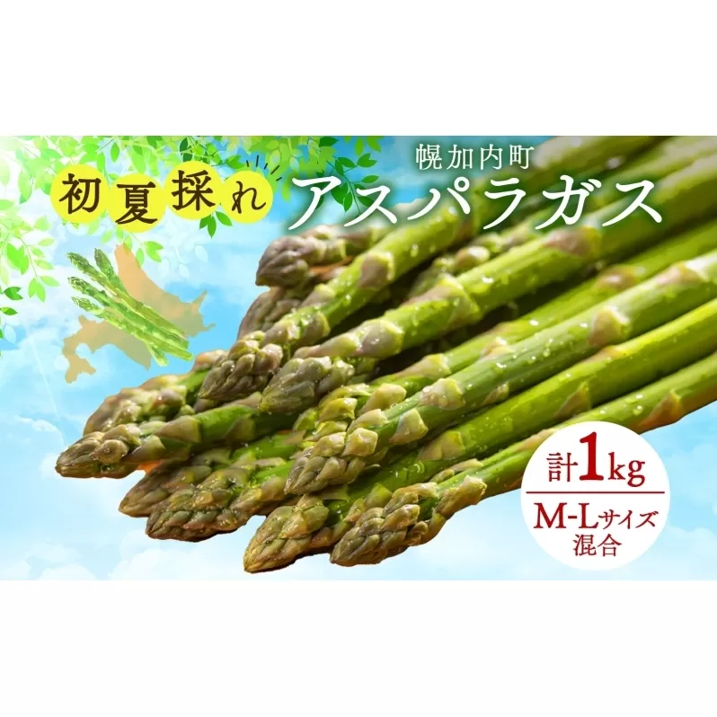 北海道 アスパラガス  約150g×7束 計1kg以上  M-L混合 初夏採れ グリーン アスパラガス 野菜 緑 アスパラ 新鮮 旬 初夏 国産 甘い 小分け お取り寄せ 産地直送 蔵前農園 送料無料 
