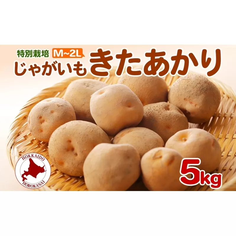 ＜2025年秋以降出荷＞ 北海道 じゃがいも きたあかり M～2L 約5kg 特別栽培 ジャガイモ 馬鈴薯 キタアカリ 芋 いも イモ ポテト 北あかり 野菜 農作物 お取り寄せ 産地直送 北海道産 畑農場 幌加内 