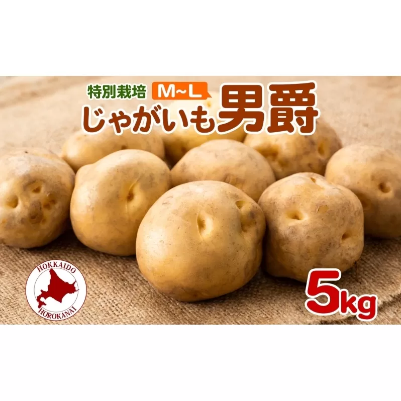 ＜2025年秋以降出荷＞ 北海道 じゃがいも 男爵 M～L 約5kg 特別栽培 ジャガイモ 馬鈴薯 だんしゃく 芋 いも イモ ポテト 野菜 根菜 農作物 国産 甘い 冬野菜 お取り寄せ 産地直送 北海道産 送料無料 