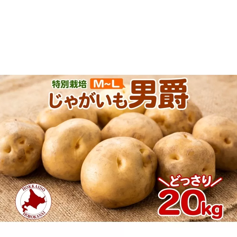 ＜2025年秋以降出荷＞ 北海道 じゃがいも 男爵 M～L 約20kg 特別栽培 ジャガイモ 馬鈴薯 だんしゃく 芋 いも イモ ポテト 野菜 根菜 農作物 国産 甘い 冬野菜 お取り寄せ 産地直送 北海道産 送料無料
