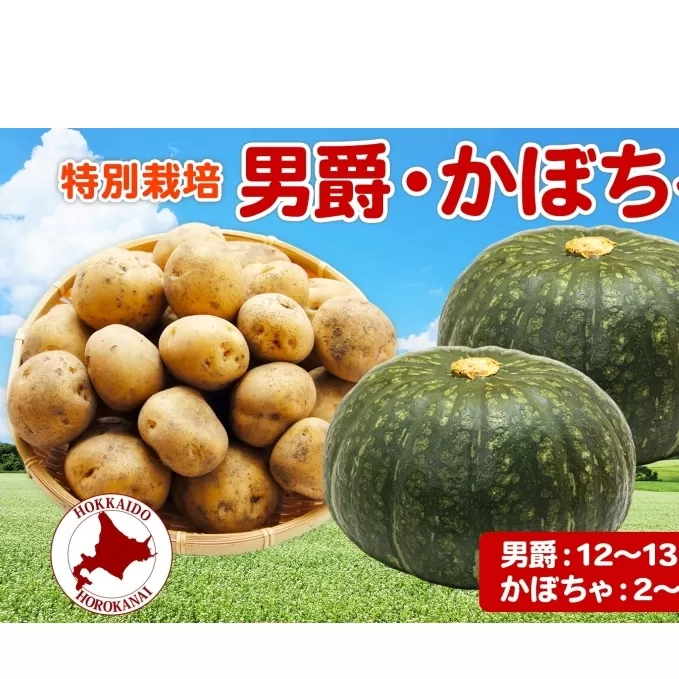 ＜2025年秋以降出荷＞ 北海道 じゃがいも 男爵 かぼちゃ計約15kg 詰め合わせ ジャガイモ カボチャ だんしゃく 南瓜 農作物  ホクホク 甘い 人気 お取り寄せ 産地直送 北海道産