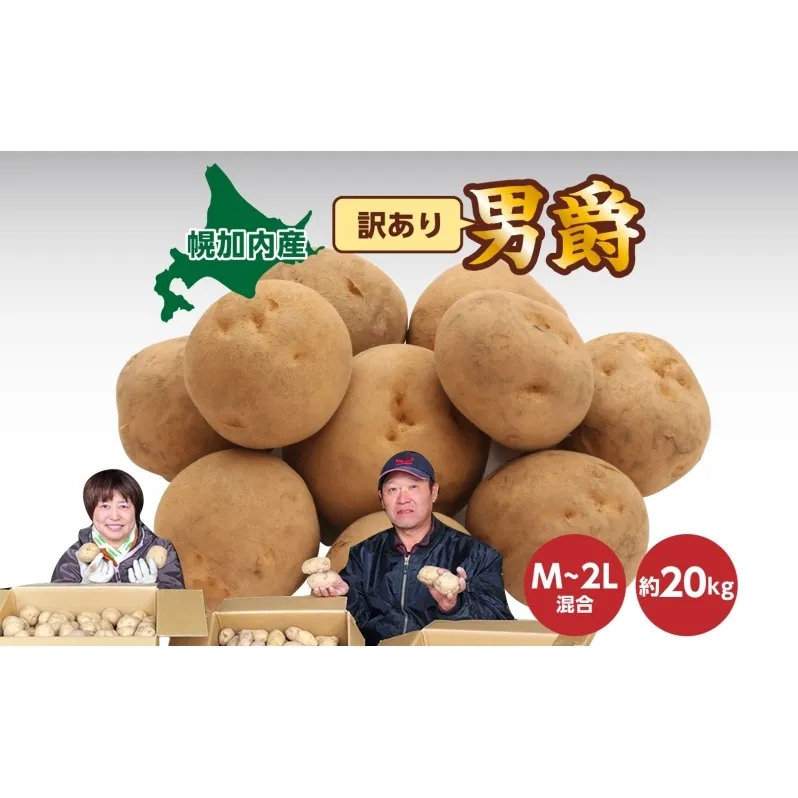 北海道産 訳あり じゃがいも 男爵 M～2L 約20kg ジャガイモ 馬鈴薯 ポテト キタアカリ 芋 いも イモ 旬 冬 農作物 訳アリ 規格外 家庭用 北海道 お取り寄せ 産地直送 笠井ファーム 送料無料 幌加内