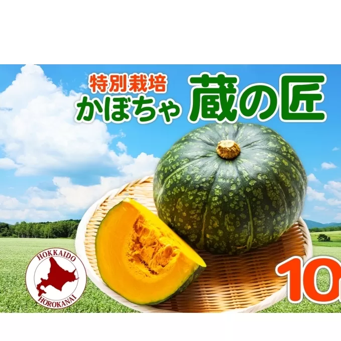  ＜2025年秋以降出荷＞ 北海道 かぼちゃ 蔵の匠 6個～8個 約10kg カボチャ 南瓜 パンプキン 旬 野菜 根菜 農作物 緑黄色野菜 北海道産 国産 人気 お取り寄せ 産地直送 北海道産 じゃがいも 