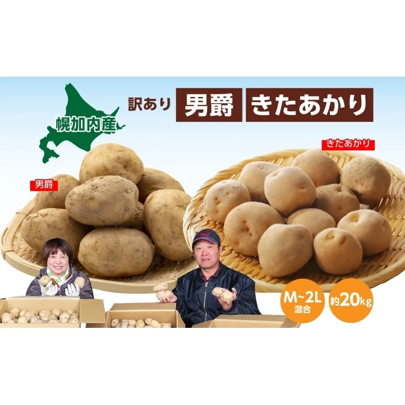北海道産 訳あり じゃがいも 男爵 きたあかり M～2L 各約10kg 計約20kg ジャガイモ 馬鈴薯 ポテト 芋 いも イモ 旬 冬 農作物 訳アリ 規格外 北海道 お取り寄せ 産地直送 笠井ファーム 送料無料 幌加内