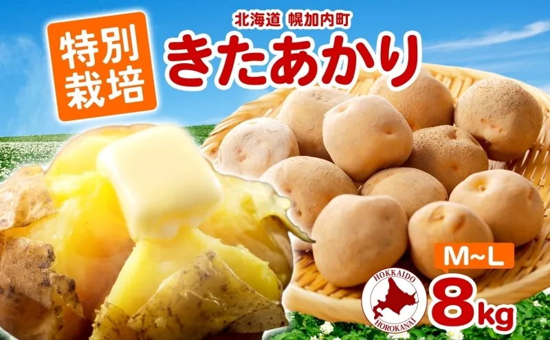 ＜2026年秋以降出荷＞ 北海道 特別栽培 じゃがいも きたあかり M～L 約 8kg ジャガイモ 馬鈴薯 芋 イモ ポテト 野菜 旬 北海道産 国産 生  冬野菜 農作物 8キロ お取り寄せ 産地直送 畑農場 送料無料