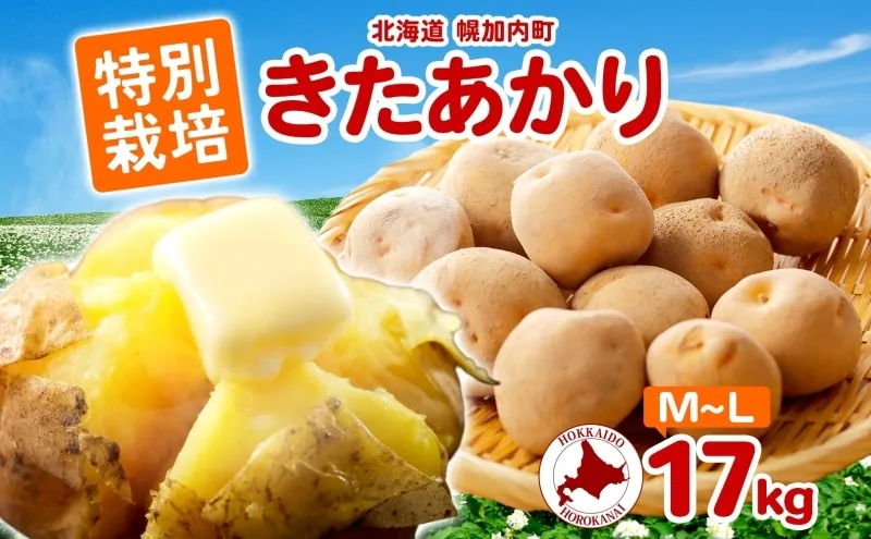 ＜2026年秋以降出荷＞ 北海道 特別栽培 じゃがいも きたあかり M～L 約17kg ジャガイモ 馬鈴薯 芋 いも イモ ポテト 野菜 根菜 旬 北海道産 国産 生 ホクホク 人気 農作物 17キロ お取り寄せ 産地直送 畑農場 送料無料