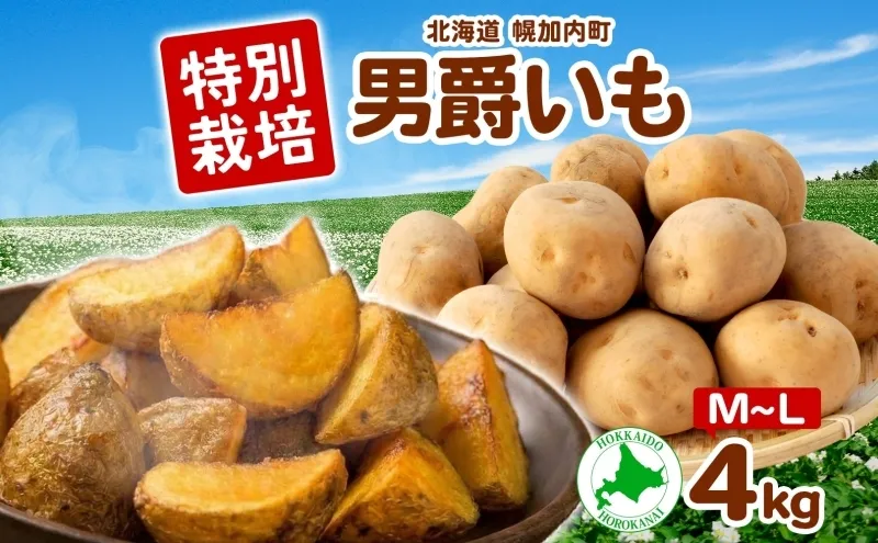 ＜2026年秋以降出荷＞ 北海道 じゃがいも 男爵 M～L 約4kg 特別栽培 ジャガイモ 馬鈴薯 だんしゃく 芋 いも イモ ポテト 野菜 農作物 国産 ホクホク 甘い  お取り寄せ 産地直送 北海道産 畑農場 送料無料 幌加内