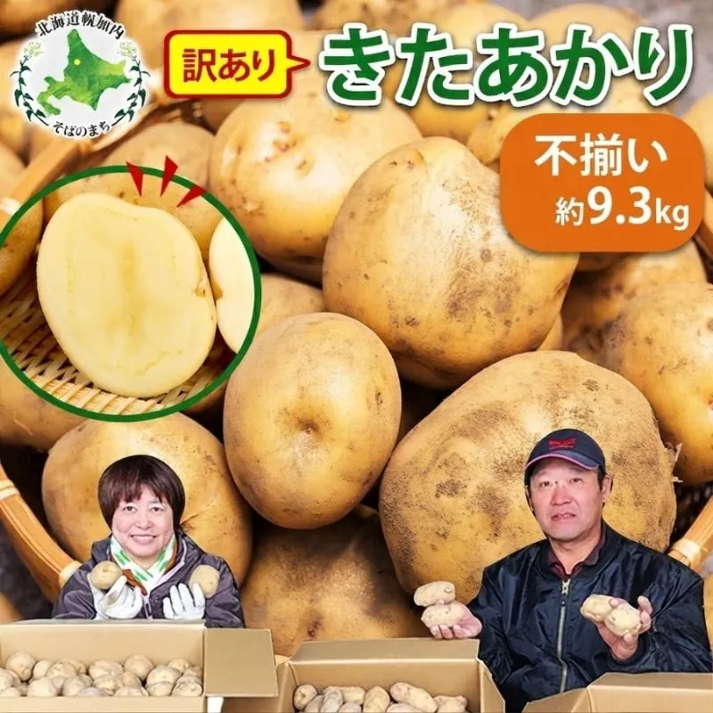 北海道産 訳あり じゃがいも きたあかり 約9.3kg 不揃い サイズ不選別 ジャガイモ 馬鈴薯 ポテト キタアカリ 芋 旬 冬 農作物 訳アリ 規格外 家庭用 北海道 お取り寄せ 産地直送 笠井ファーム 送料無料 幌加内