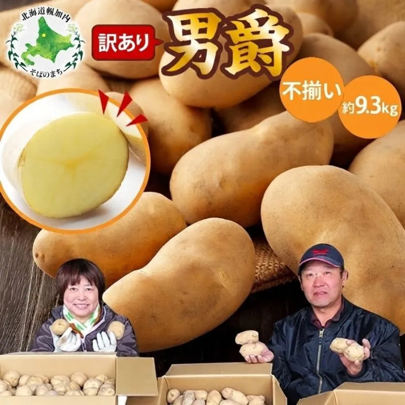 北海道産 訳あり じゃがいも 男爵  約9.3kg 不揃い サイズ不選別 ジャガイモ 馬鈴薯 ポテト 芋 いも 旬 冬 農作物 訳アリ 規格外 家庭用 北海道 お取り寄せ 産地直送 笠井ファーム 送料無料 幌加内