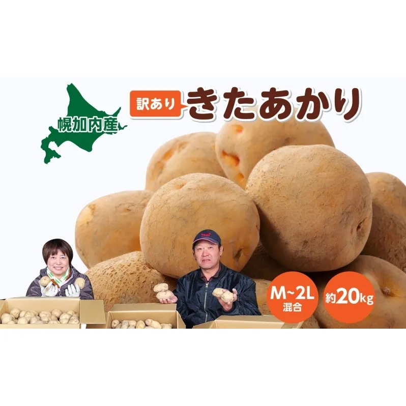 北海道産 訳あり じゃがいも きたあかり M～2L 約20kg ジャガイモ 馬鈴薯 ポテト キタアカリ 芋 いも イモ 旬 冬 農作物 訳アリ 規格外 家庭用 北海道 お取り寄せ 産地直送 笠井ファーム 送料無料 幌加内