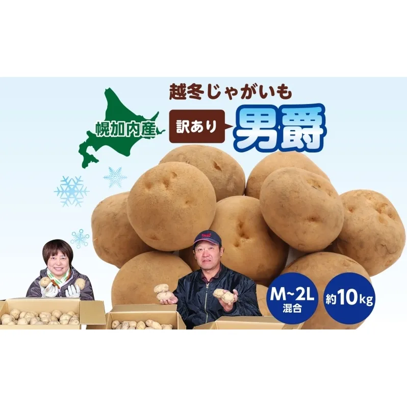 北海道産 訳あり 越冬 じゃがいも 男爵 M～2L 約10kg ジャガイモ 馬鈴薯 ポテト キタアカリ 芋 いも イモ 旬 冬 農作物 訳アリ 規格外 家庭用 北海道 お取り寄せ 産地直送 笠井ファーム 送料無料 幌加内 野菜 