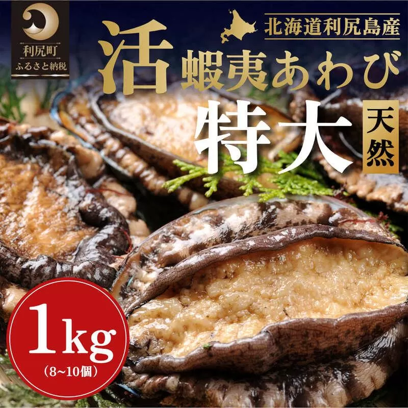 【2025年発送受付】北海道利尻島産 特大 天然〈活〉蝦夷アワビ1kg（8～10個）【10月下旬～12月上旬発送】