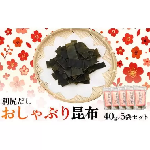 【2025年11月上旬より順次出荷】利尻昆布 北海道 利尻産 おしゃぶり利尻昆布 40g×5袋 おしゃぶり昆布 昆布