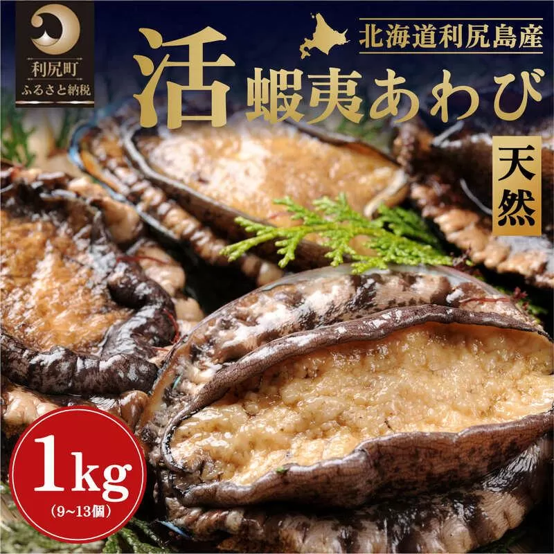 【2025年発送受付】北海道利尻島産 天然〈活〉蝦夷アワビ1kg（9～13個）【10月下旬～12月下旬発送】