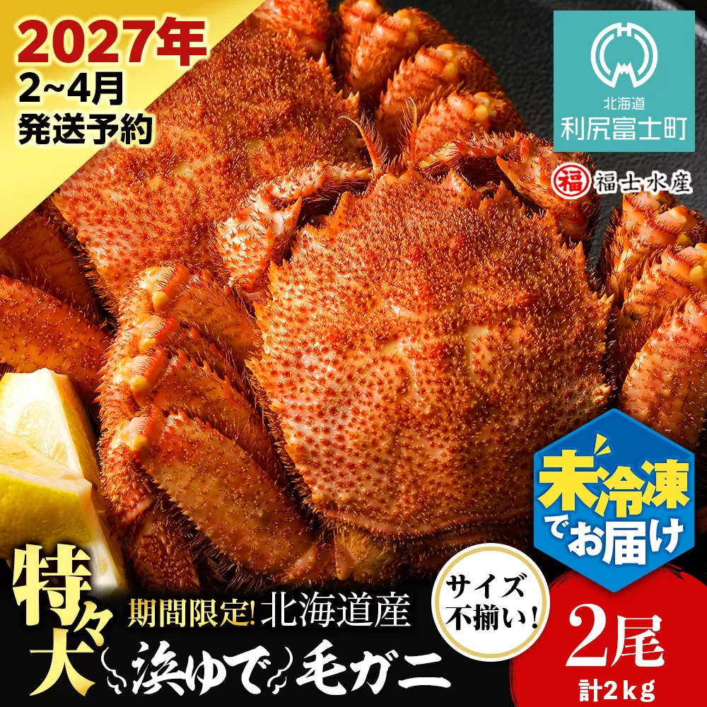 【2027年発送予約】チルドでお届け！ 浜茹で毛ガニ特々大２尾（不揃い合計約2kg） 〈福士水産〉