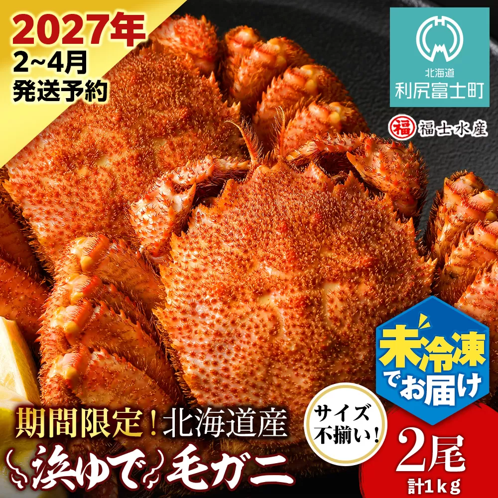 【2027年発送予約】チルドでお届け！ 浜茹で毛ガニ中サイズ２尾（不揃い合計約1kg） 〈福士水産〉