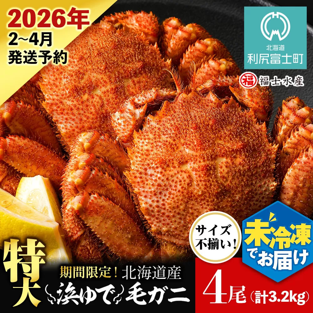 【2026年発送予約】チルドでお届け！ 浜茹で毛ガニ特大４尾（不揃い合計約3.2kg） 〈福士水産〉