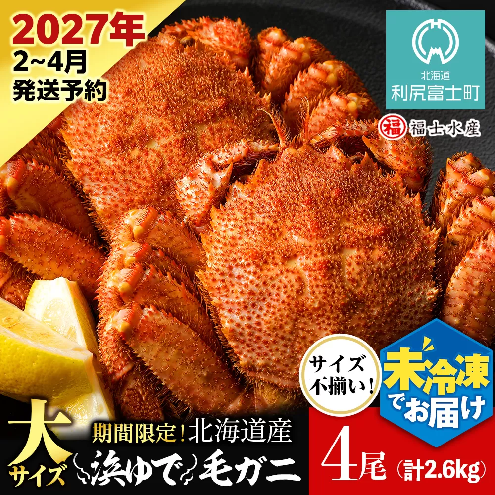 【2027年発送予約】チルドでお届け！ 浜茹で毛ガニ大サイズ４尾（不揃い合計約2.6kg） 〈福士水産〉