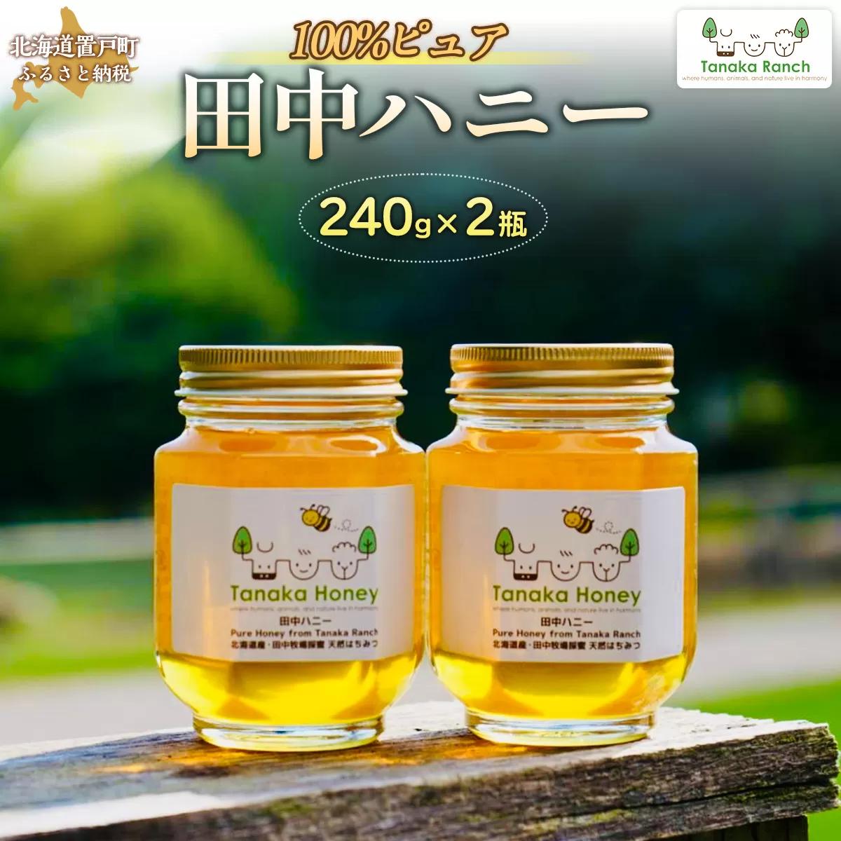 【数量限定】100%ピュア田中ハニー OTH003